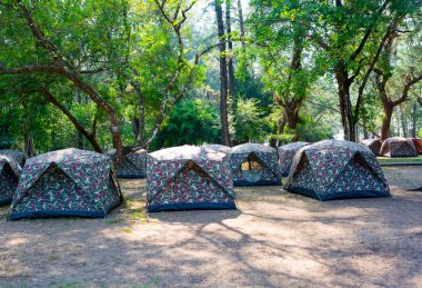 Park gölge ağaçları altında kamp çadırları 