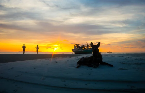 Siluet siyah köpek akşam saat,, balıkçı tekne kazası Beach, Genç bir çift yürüyüş için harika doğal günbatımı alacakaranlık gökyüzü bulut arka plan üzerinde karaya kum banka üzerinde dinlenme
