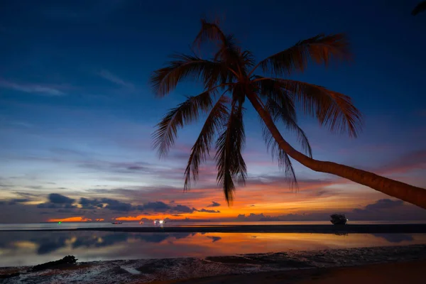 Silhouette Leaning Coconut Palm Tree Dans Dernière Dernière Dernière Heure — Photo