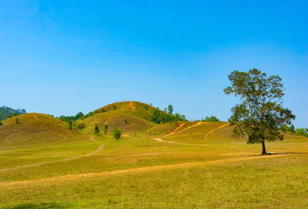 Hillside çim-dağ, Ranong Tayland Eyaleti, Kuru yaz sezonu güneşli bir gün mavi gökyüzü arka planda