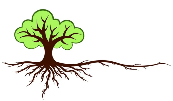 Símbolo Árbol Verde Con Raíces — Vector de stock