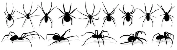 Silueta Araña Negra — Vector de stock