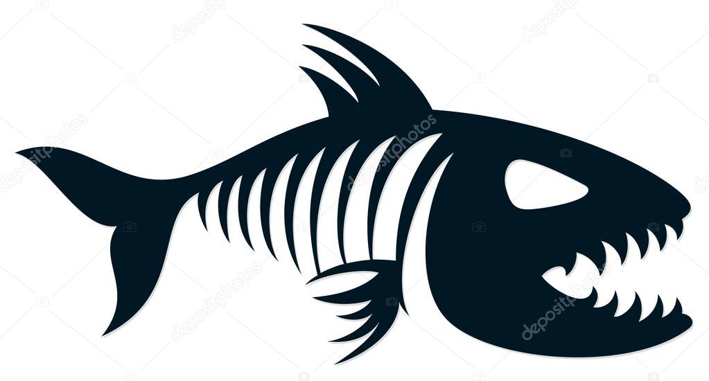 Skeleton of predatory sea fish.