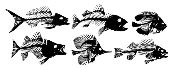 Set Skeleton Fish — Stock Vector