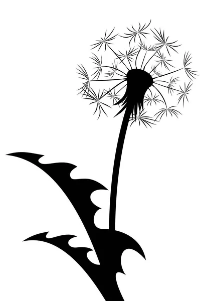 Цветок Полевого Одуванчика Семенами — стоковый вектор