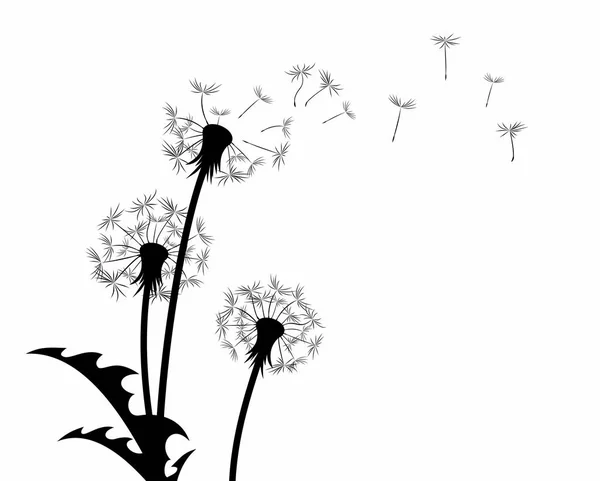 Une Fleur Pissenlit Des Champs Avec Des Graines Volantes — Image vectorielle