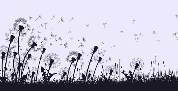 Karahindiba Çiçek Tohumları Uçan Ile — Stok Vektör