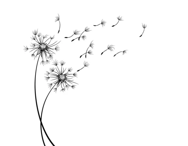 Σχέδιο Λουλούδι Πικραλίδα Πεδίο Ιπτάμενους Σπόρους — Διανυσματικό Αρχείο