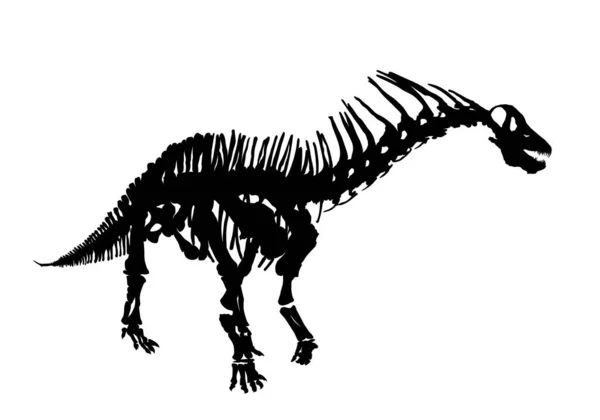 Het Skelet Van Oude Grote Dinosaurus — Stockvector