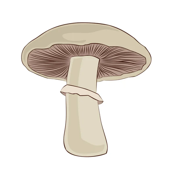 Symbol Białego Leśnego Champignon — Wektor stockowy