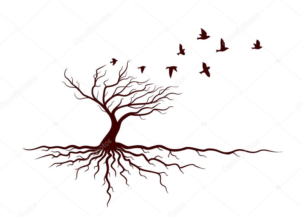 Autumn tree with roots and flying birds.
