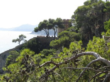 Priroda razlichnoe vremy goda