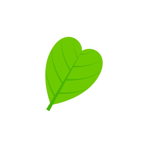 Abcordate leaf flat ikonen — Stock vektor