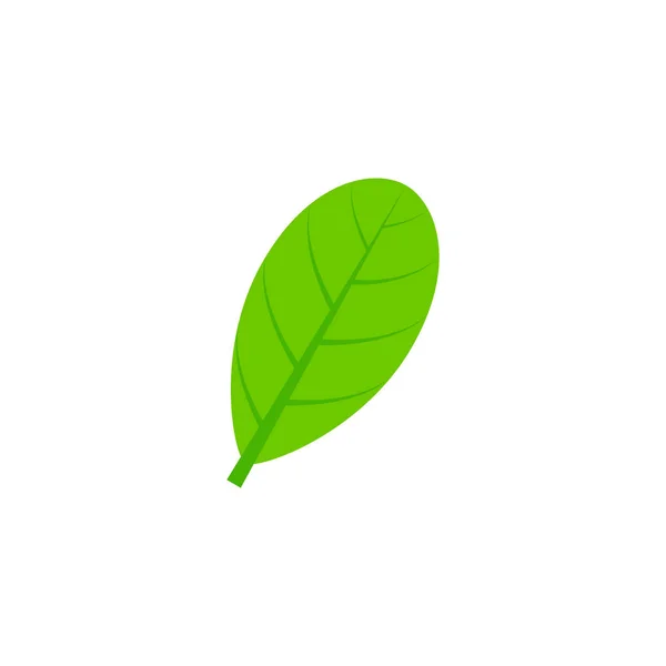 Obovate maple leaf flat ikonen — Stock vektor