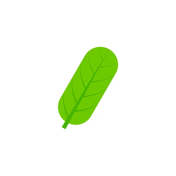 Langwerpige esdoorn blad platte pictogram — Stockvector