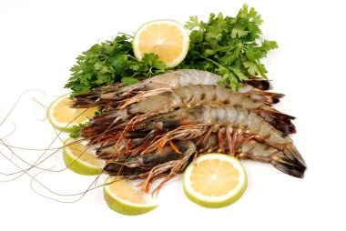 Mazzancolle karides beyaz plaka üzerinde