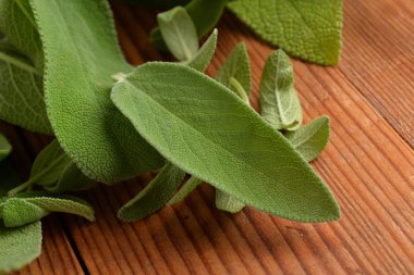 Kavanoza adaçayı aromatik bitki