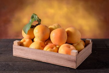 Kayısı kabin ve tablo