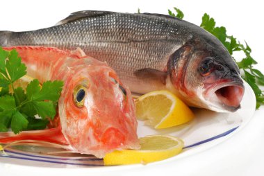 İki sülün balığı ve levrek ile plaka