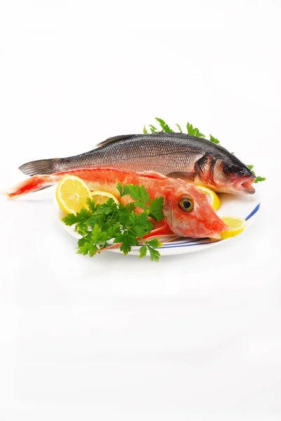 İki sülün balığı ve levrek ile plaka — Stok fotoğraf