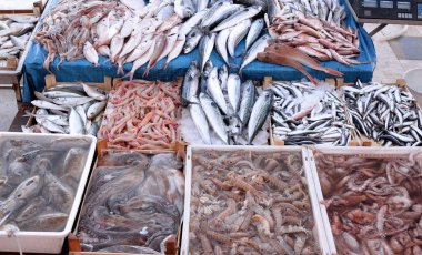 Balık pazarı, karışık balık maruziyeti