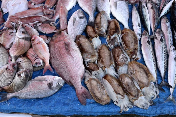 Fiskmarknaden, blandad exponering av fisk — Stockfoto