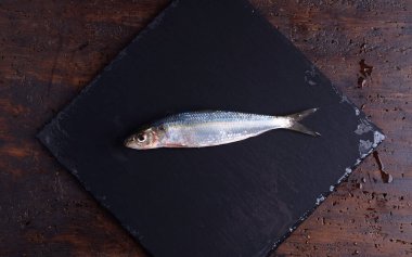 Sardunya Mavi Balığı, Sardunya Denizi Aletleri