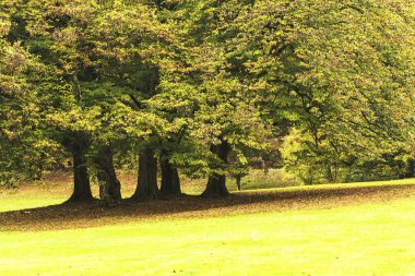 Sonbahar - Scorcio autunnale an 