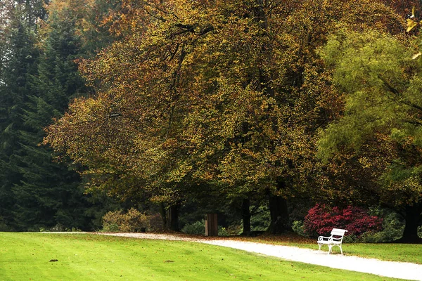 Podzim Zahlédnout Scorcio Autunnale — Stock fotografie