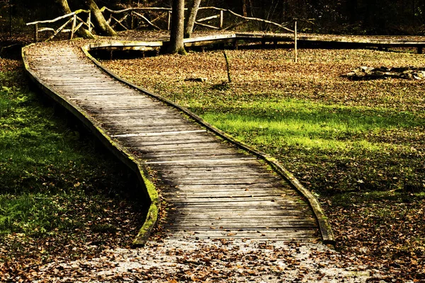 Pontile Legno Parco —  Fotos de Stock