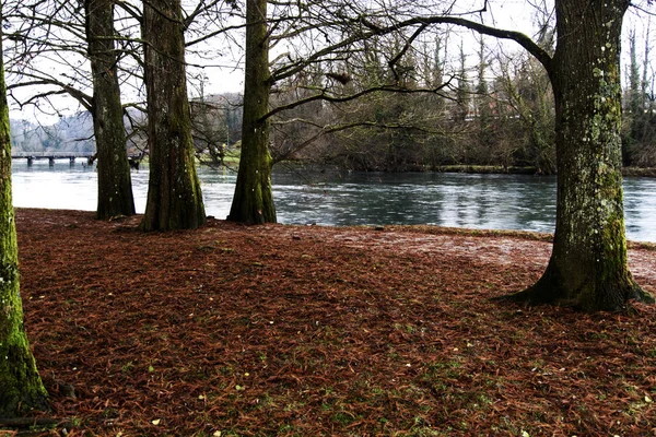 Krka Fluss Bei Otocec Slowenien — Stockfoto