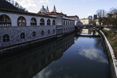 Ljubljana nehre Ljubianska görünümünü