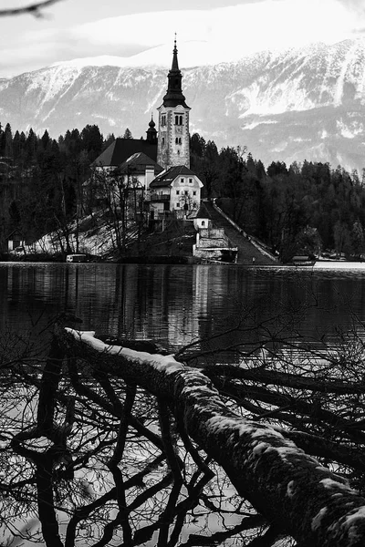 Kirche Martin See Blutete Slowenien — Stockfoto