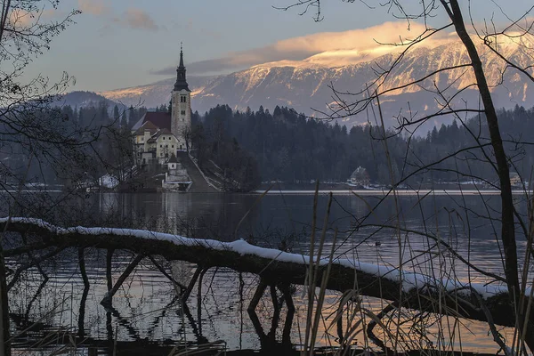 Kirche Martin See Blutete Slowenien — Stockfoto
