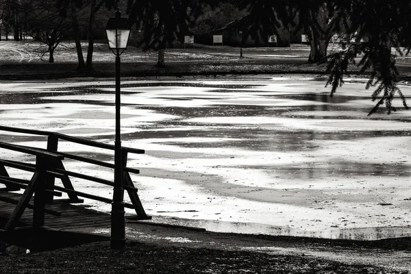 Zugefrorener See Einem Slowenischen Park — Stockfoto