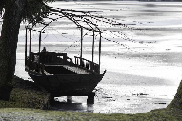 Bevroren Meer Een Sloveense Park — Stockfoto