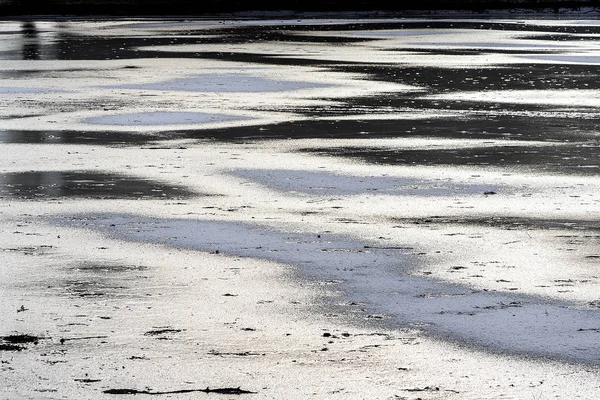 Zugefrorener See Einem Slowenischen Park — Stockfoto