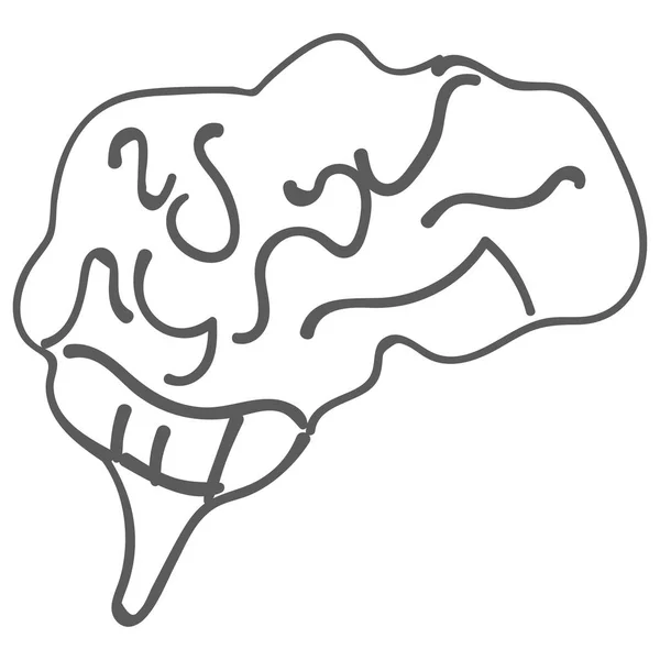 Children s drawing of human brain. Doodle, icon