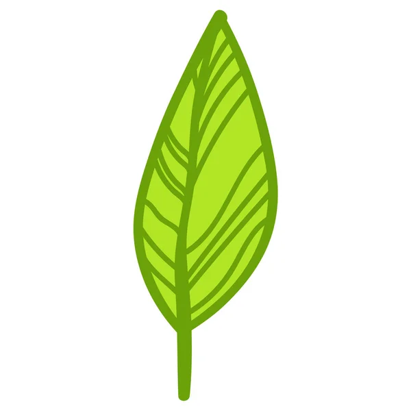 Leaf Doodle Natur Illustration Vit Bakgrund — Stockfoto