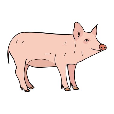 Doodle tarzında domuz