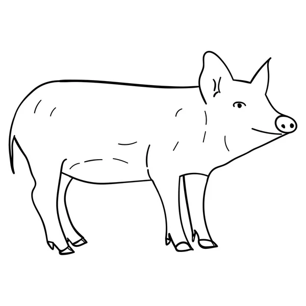 Contour Pig i Doodle stil. — Stock vektor