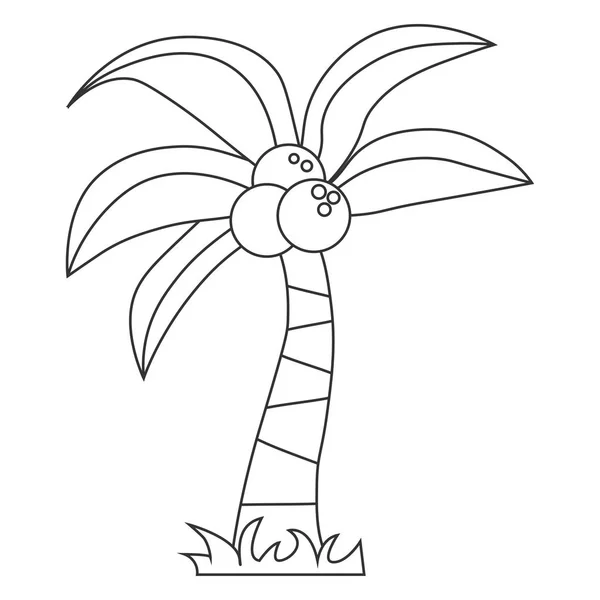 Palmový strom s kokosovým obrysem — Stockový vektor