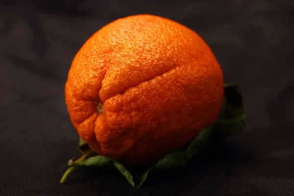 Оранжевый Листовках Черном Фоне — стоковое фото