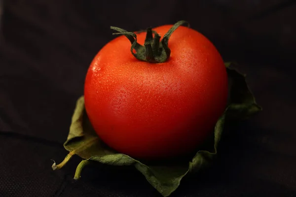 Jeden Pomidor Liściu — Zdjęcie stockowe