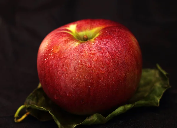 叶子上的红苹果和黑色的背景 — 图库照片