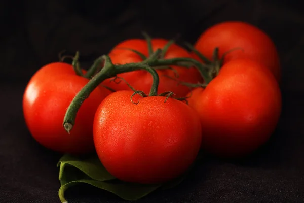 Ett Gäng Tomater Ett Blad Och Svart Bakgrund — Stockfoto