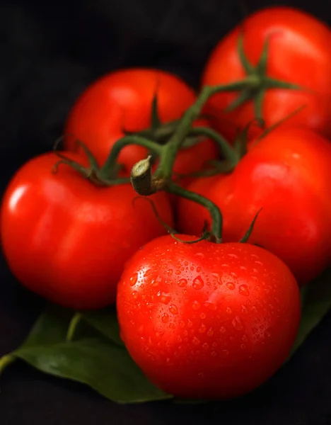 Ett Gäng Tomater Ett Blad Och Svart Bakgrund — Stockfoto