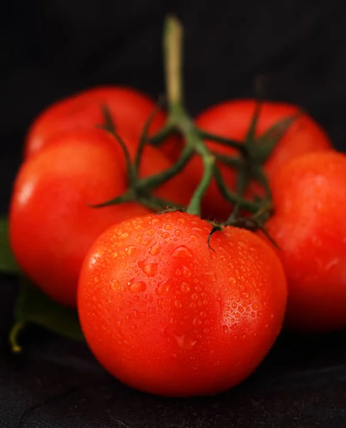 一串西红柿滴 — 图库照片