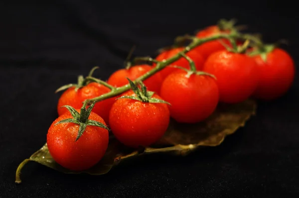 Pomidory Koktajlowe Patyku — Zdjęcie stockowe