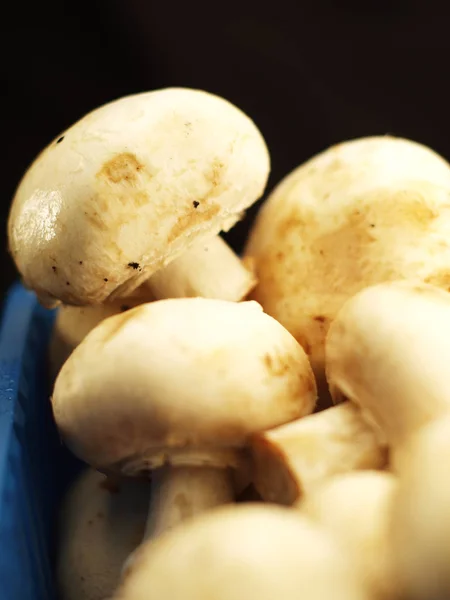 Champignons Een Blauw Vak — Stockfoto